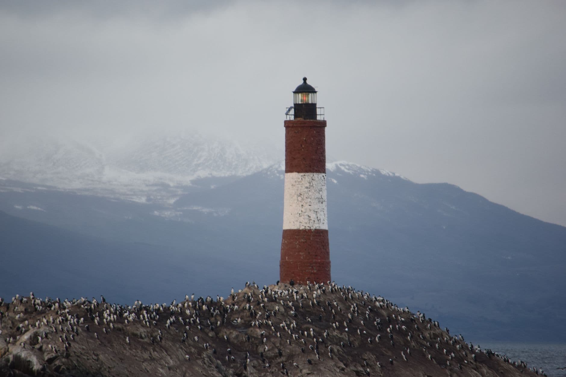 The iconic lighthouse with penguins and mountains in Ushuaia, Argentina is a stunning scene.