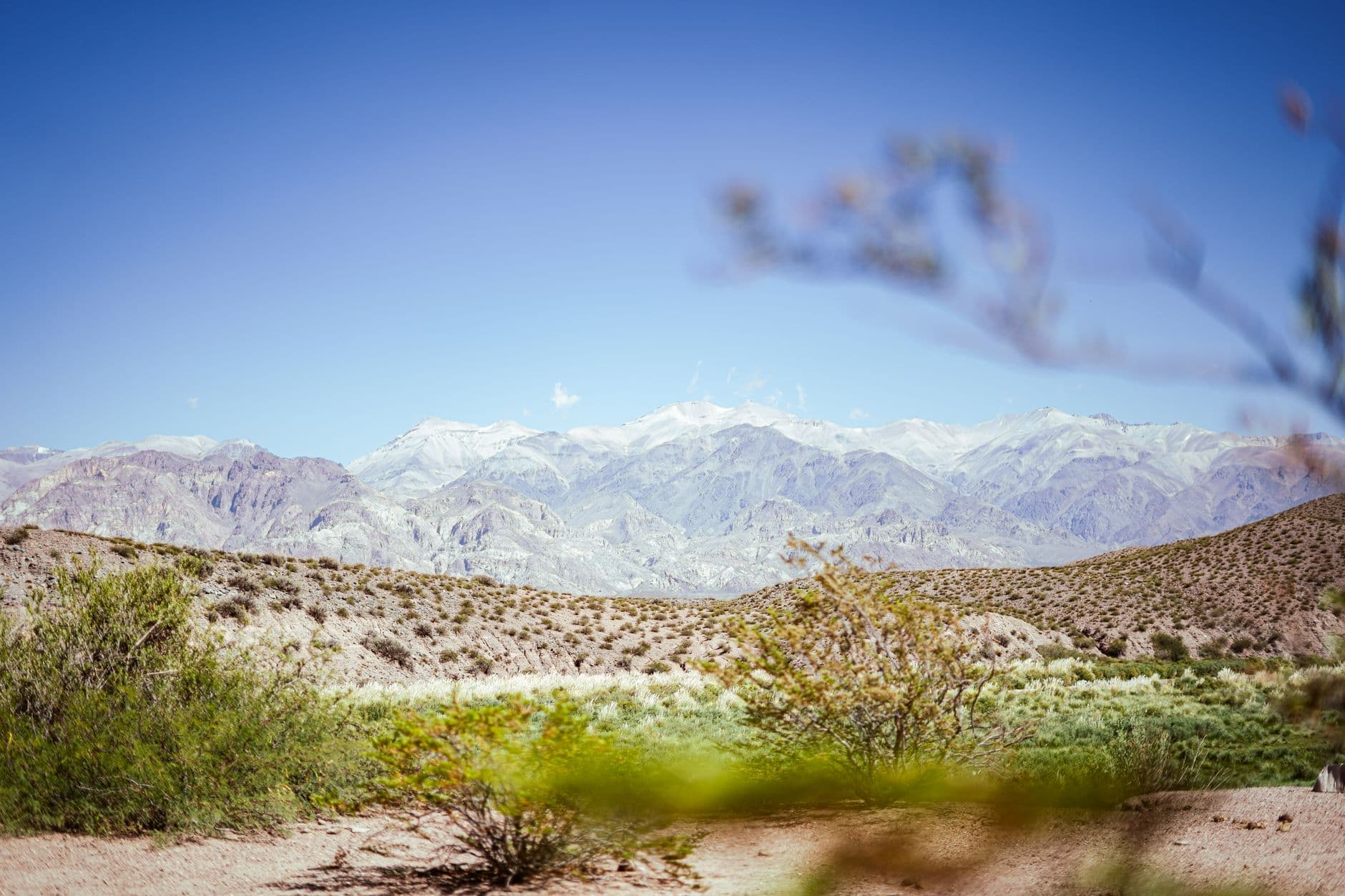 Explore the stunning Andes Mountains with clear blue skies in Uspallata, Mendoza, Argentina.