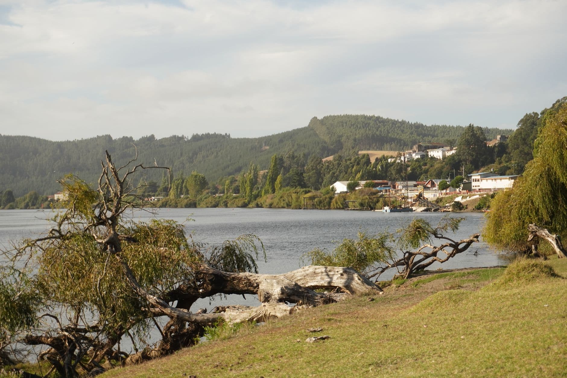 Idyllic river scene with an old fallen tree and tranquil waters.