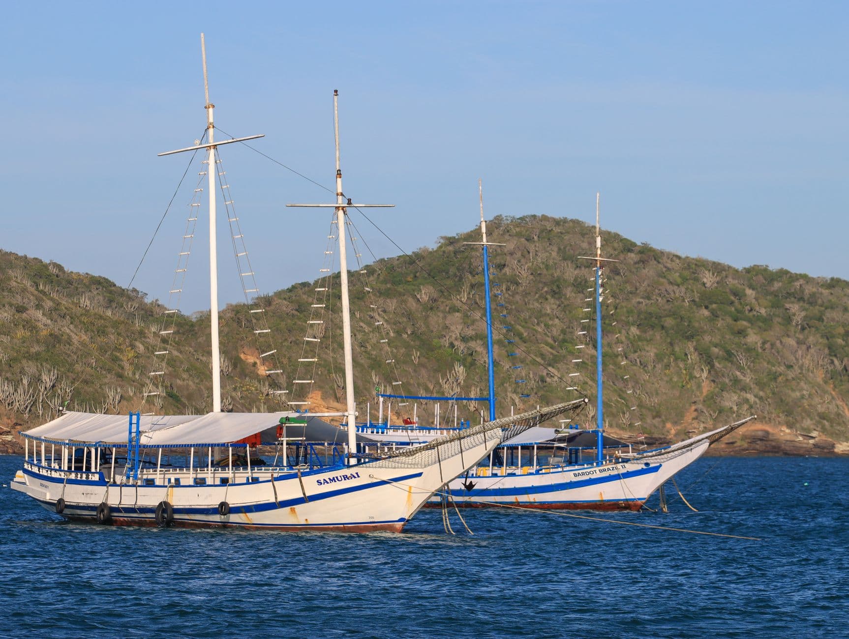 Peaceful scene of two sailboats anchored near lush green hills at sea.