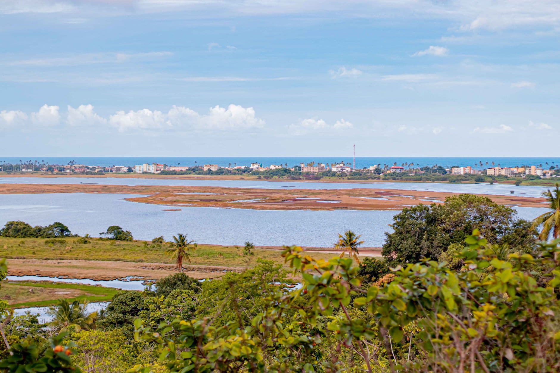A picturesque coastal landscape in Porto de Galinhas, Brazil, showcasing lush greenery and vibrant blue skies.